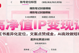 高净值IP变现课：小红书差异化定位，文案点赞成金， AI高效做短视频